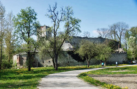Burgruine Spilberg Burgruine Spilberg