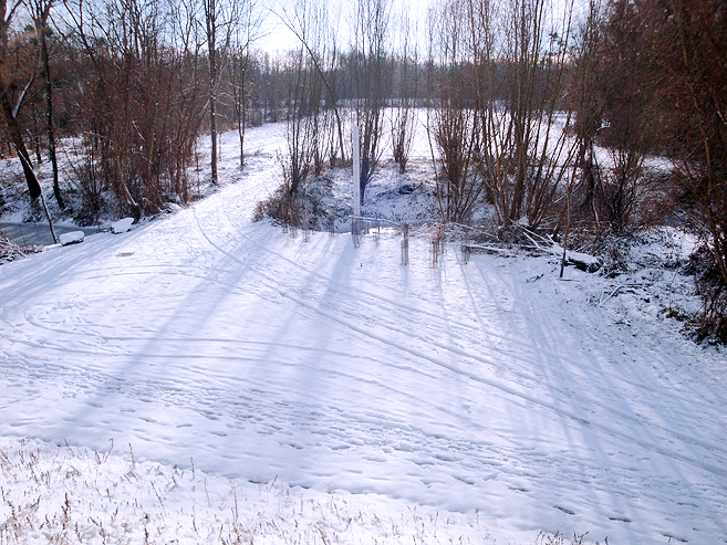 Biotop Schustergraben 01.2017