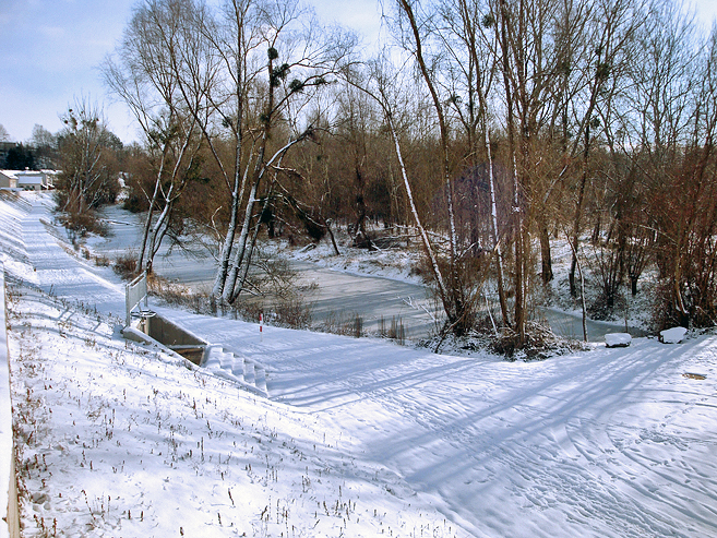 Biotop Schustergraben 01.2017