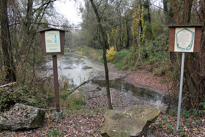 Biotop Schustergraben 2018