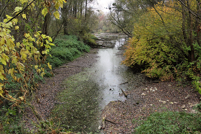 Biotop Schustergraben 2018