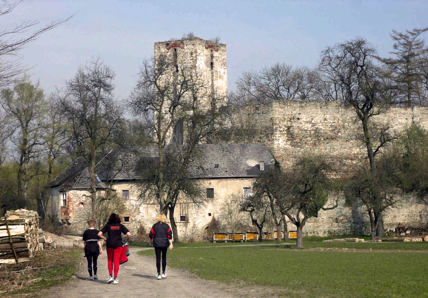 Burgruine Spilberg Burgruine Spilberg